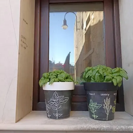 Casa Basilico' A Vicino Duomo S. Giorgio Holiday home